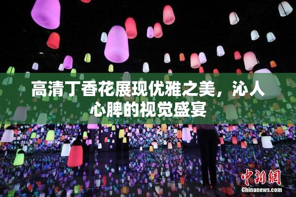 高清丁香花展现优雅之美，沁人心脾的视觉盛宴