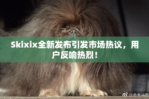 Skixix全新发布引发市场热议，用户反响热烈！