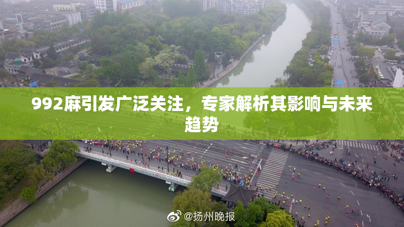 992麻引发广泛关注，专家解析其影响与未来趋势