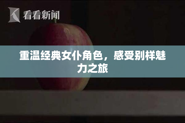 重温经典女仆角色，感受别样魅力之旅