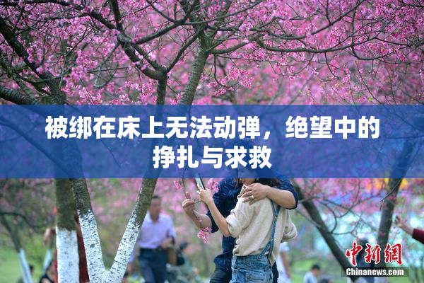 被绑在床上无法动弹，绝望中的挣扎与求救