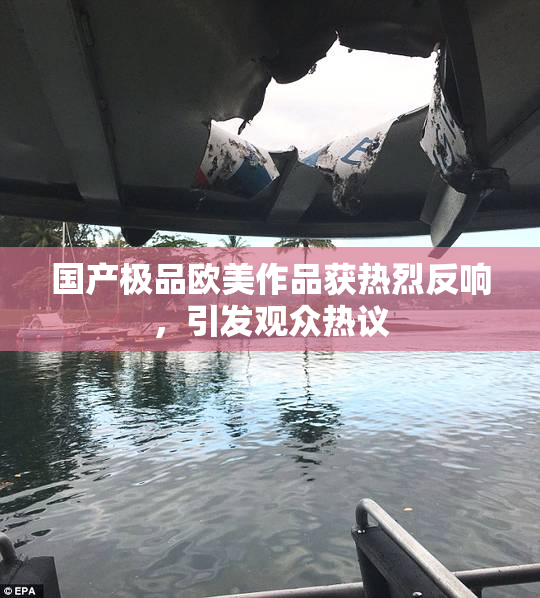 国产极品欧美作品获热烈反响，引发观众热议