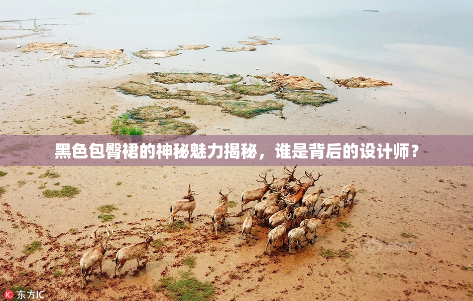 黑色包臀裙的神秘魅力揭秘，谁是背后的设计师？