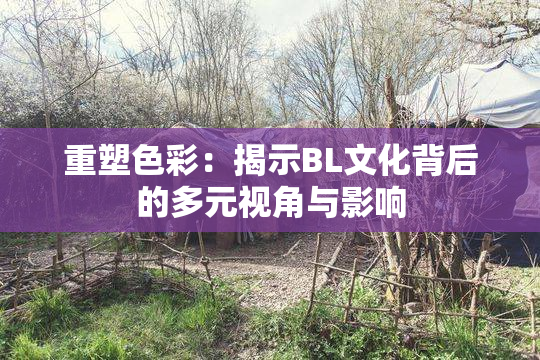 重塑色彩：揭示BL文化背后的多元视角与影响