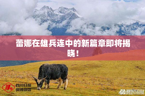 蕾娜在雄兵连中的新篇章即将揭晓！
