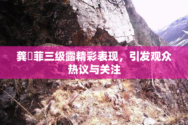 龚玥菲三级露精彩表现，引发观众热议与关注