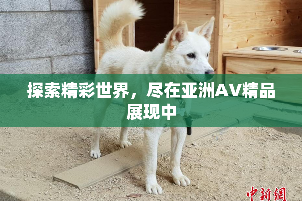 探索精彩世界，尽在亚洲AV精品展现中