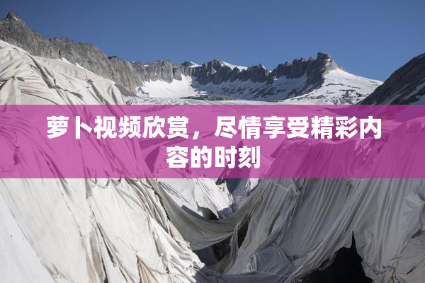 萝卜视频欣赏，尽情享受精彩内容的时刻