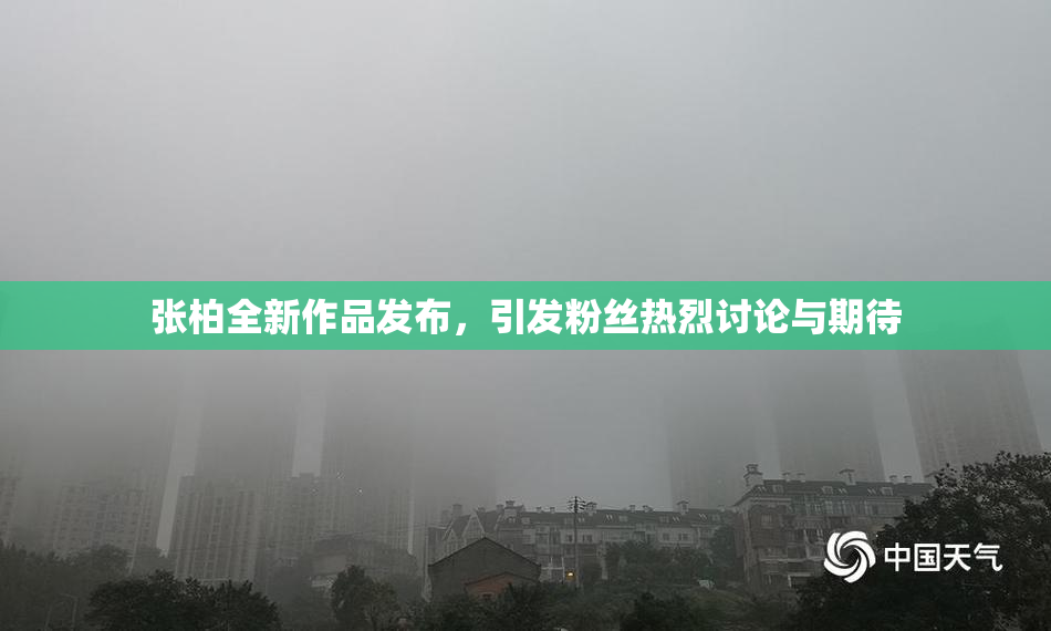 张柏全新作品发布，引发粉丝热烈讨论与期待