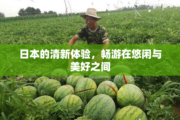 日本的清新体验，畅游在悠闲与美好之间