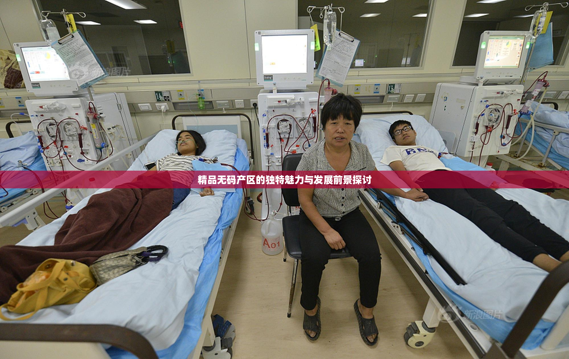 精品无码产区的独特魅力与发展前景探讨