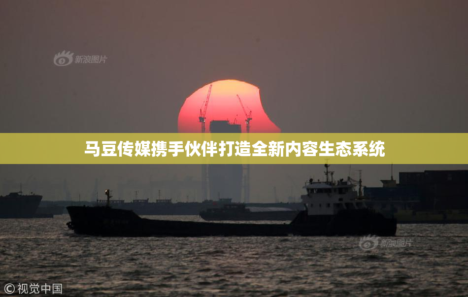 马豆传媒携手伙伴打造全新内容生态系统