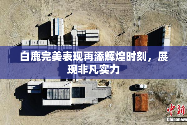 白鹿完美表现再添辉煌时刻，展现非凡实力