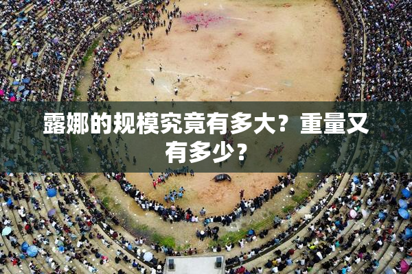 露娜的规模究竟有多大？重量又有多少？