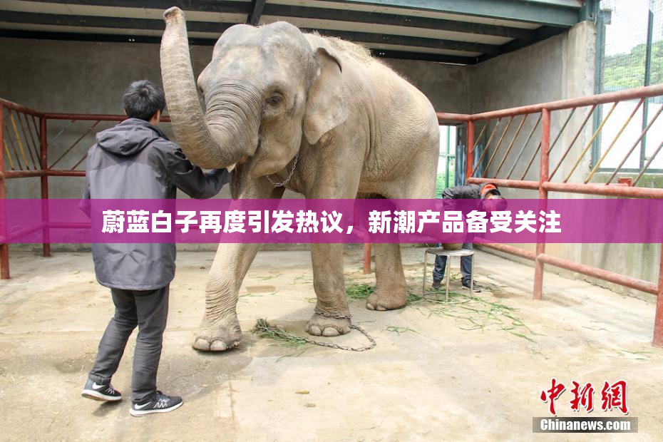 蔚蓝白子再度引发热议，新潮产品备受关注