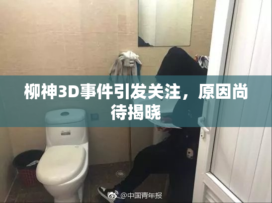 柳神3D事件引发关注，原因尚待揭晓