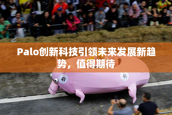 Palo创新科技引领未来发展新趋势，值得期待