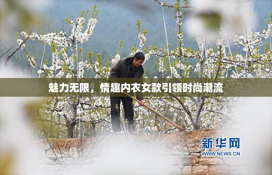 魅力无限，情趣内衣女款引领时尚潮流