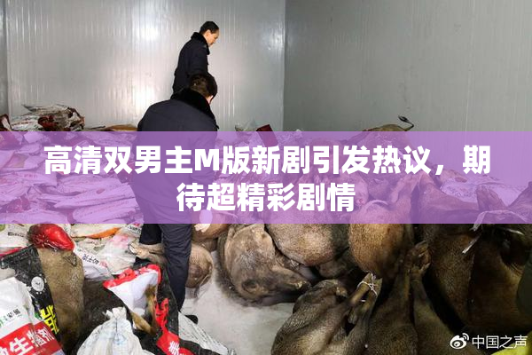 高清双男主M版新剧引发热议，期待超精彩剧情