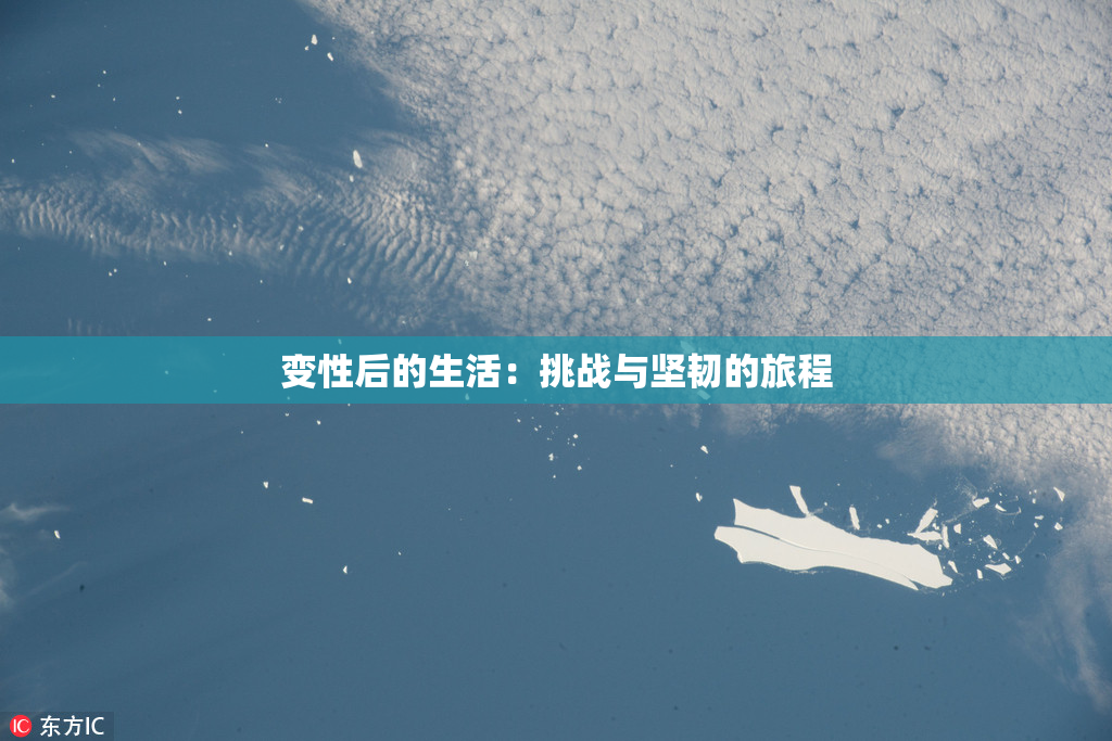 变性后的生活：挑战与坚韧的旅程