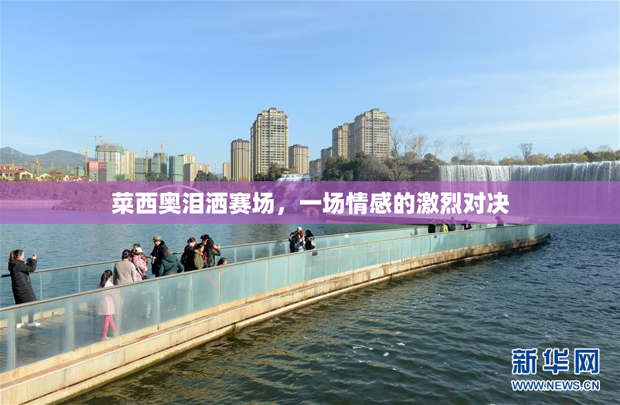 菜西奥泪洒赛场，一场情感的激烈对决