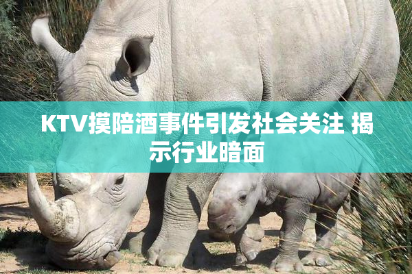 KTV摸陪酒事件引发社会关注 揭示行业暗面