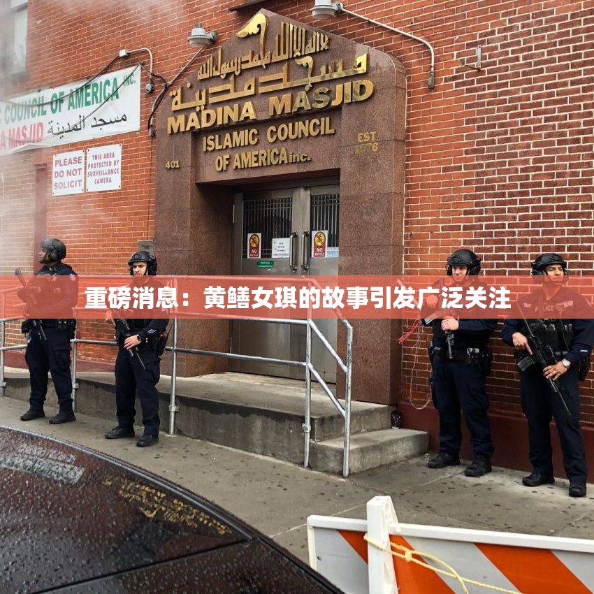 重磅消息：黄鳝女琪的故事引发广泛关注