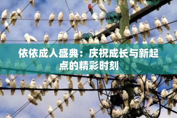 依依成人盛典：庆祝成长与新起点的精彩时刻