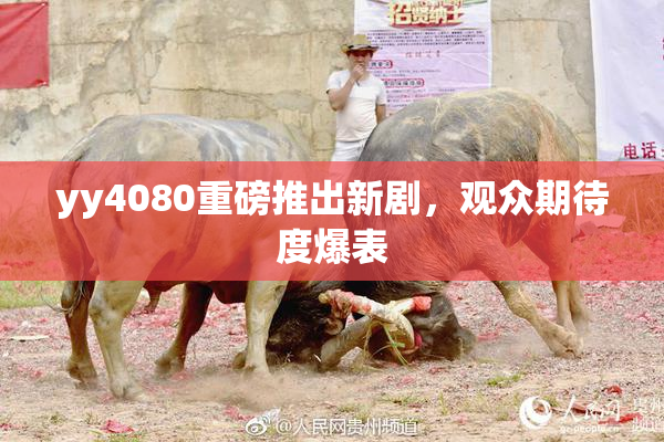 yy4080重磅推出新剧，观众期待度爆表