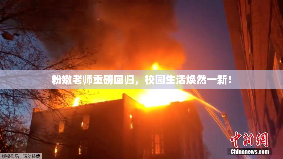粉嫩老师重磅回归，校园生活焕然一新！