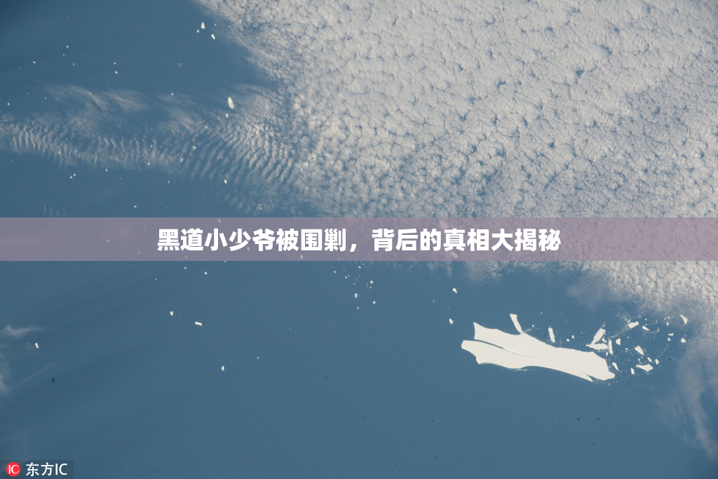 黑道小少爷被围剿，背后的真相大揭秘