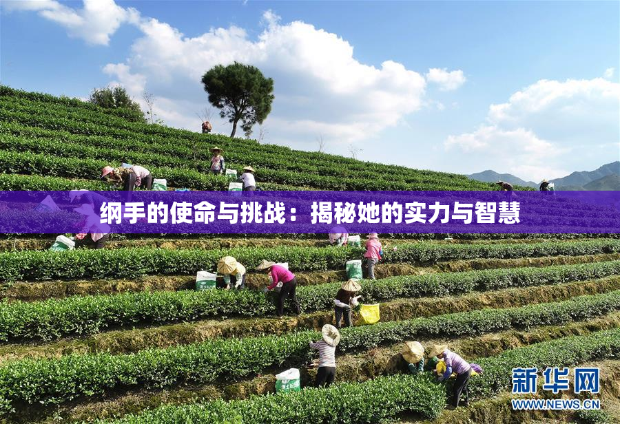 纲手的使命与挑战：揭秘她的实力与智慧