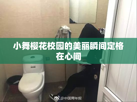 小舞樱花校园的美丽瞬间定格在心间