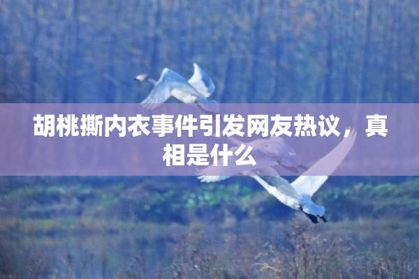 胡桃撕内衣事件引发网友热议，真相是什么