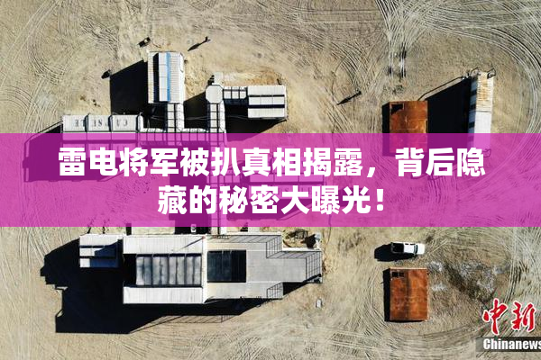 雷电将军被扒真相揭露，背后隐藏的秘密大曝光！