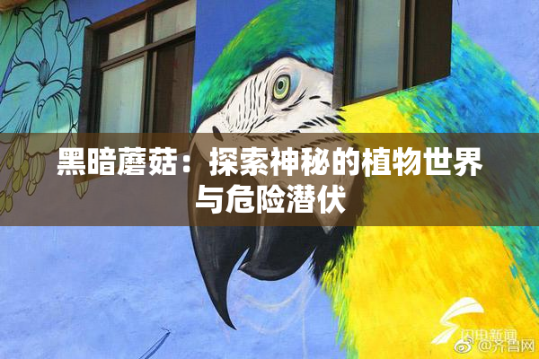 黑暗蘑菇：探索神秘的植物世界与危险潜伏