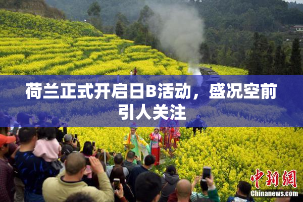 荷兰正式开启日B活动，盛况空前引人关注