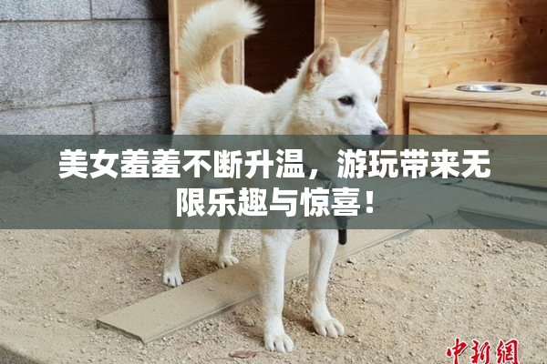 美女羞羞不断升温，游玩带来无限乐趣与惊喜！