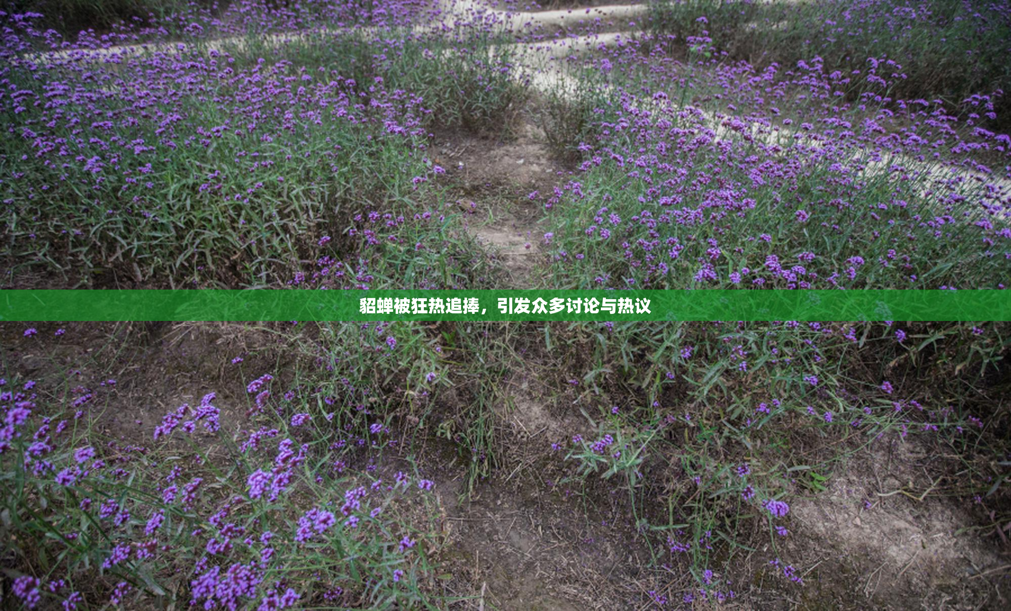 貂蝉被狂热追捧，引发众多讨论与热议