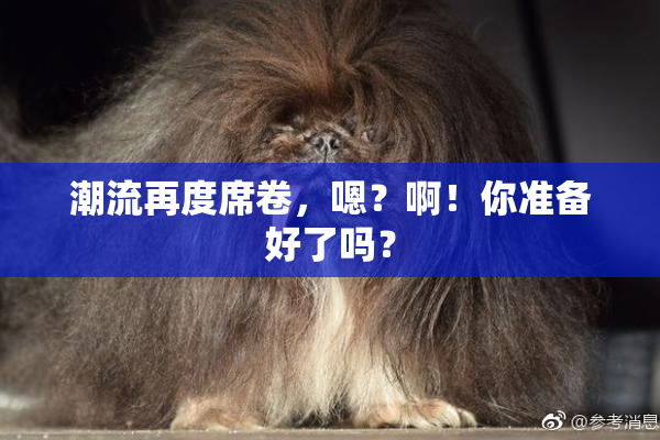 潮流再度席卷，嗯？啊！你准备好了吗？