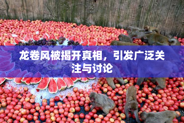 龙卷风被揭开真相，引发广泛关注与讨论