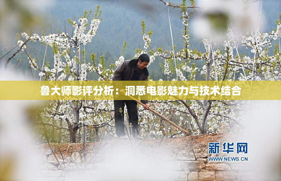 鲁大师影评分析：洞悉电影魅力与技术结合