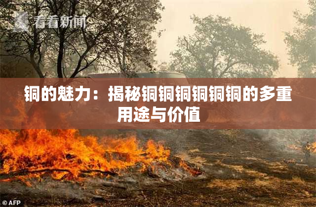 铜的魅力：揭秘铜铜铜铜铜铜的多重用途与价值