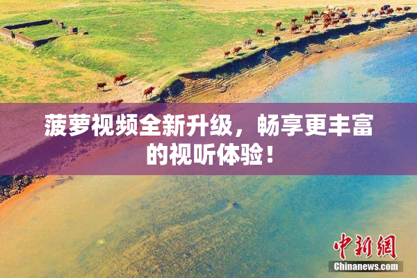 菠萝视频全新升级，畅享更丰富的视听体验！