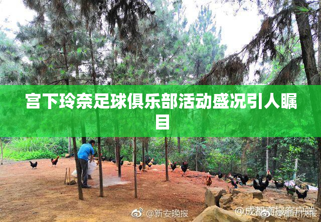 宫下玲奈足球俱乐部活动盛况引人瞩目