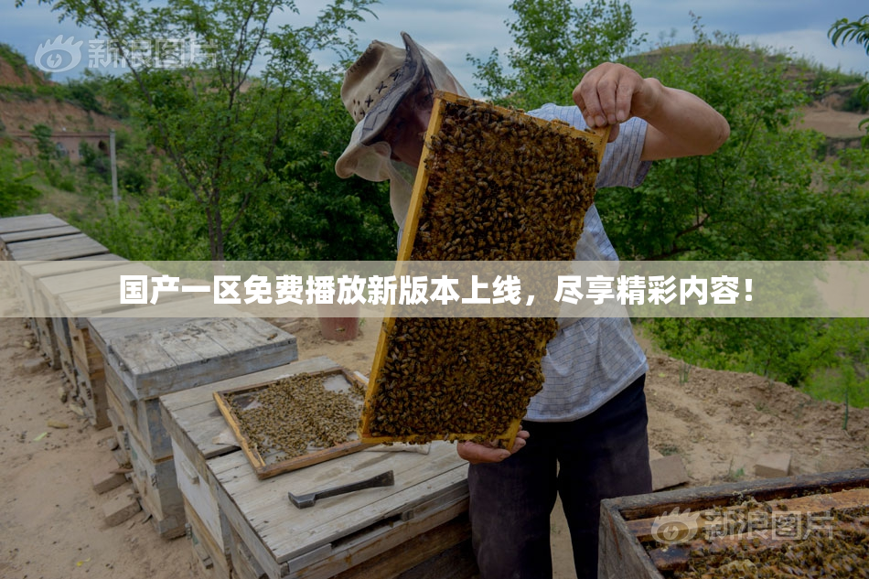 国产一区免费播放新版本上线，尽享精彩内容！