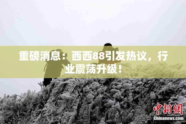 重磅消息：西西88引发热议，行业震荡升级！