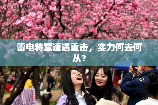 雷电将军遭遇重击，实力何去何从？