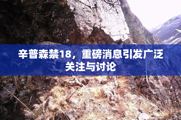 辛普森禁18，重磅消息引发广泛关注与讨论