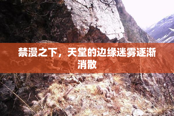 禁漫之下，天堂的边缘迷雾逐渐消散